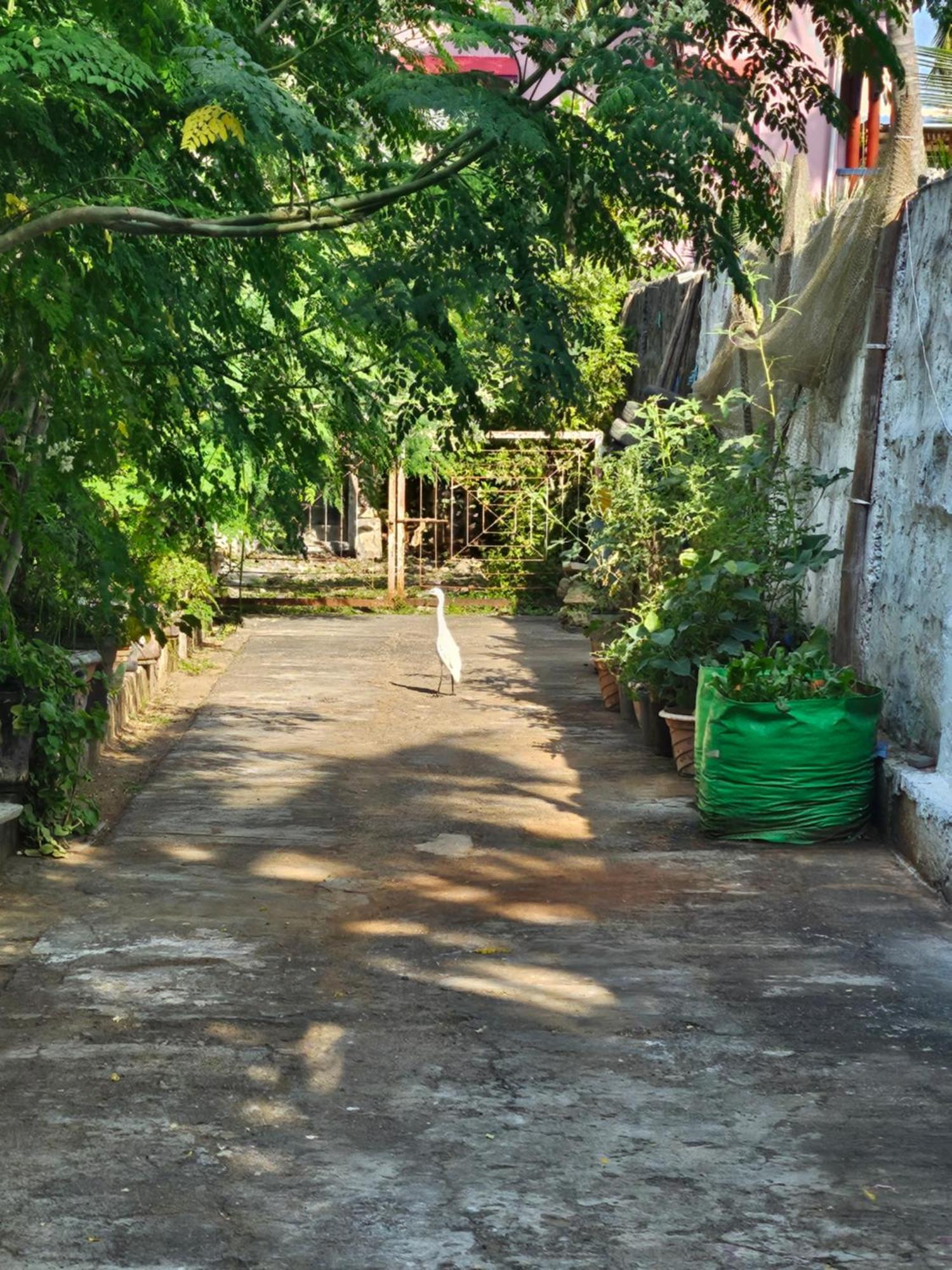 Dream Vision Guest House Diu Zewnętrze zdjęcie